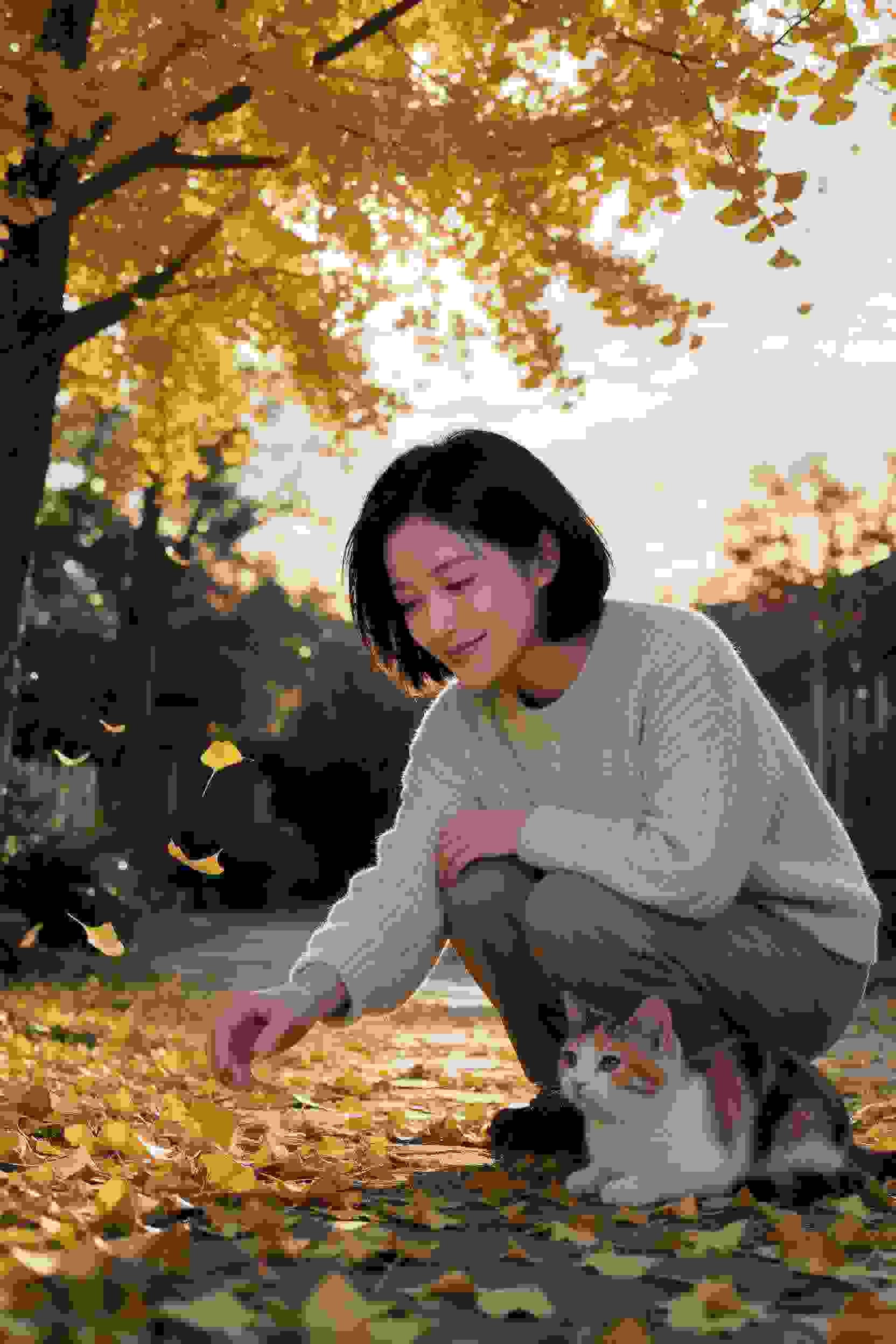 热血动漫